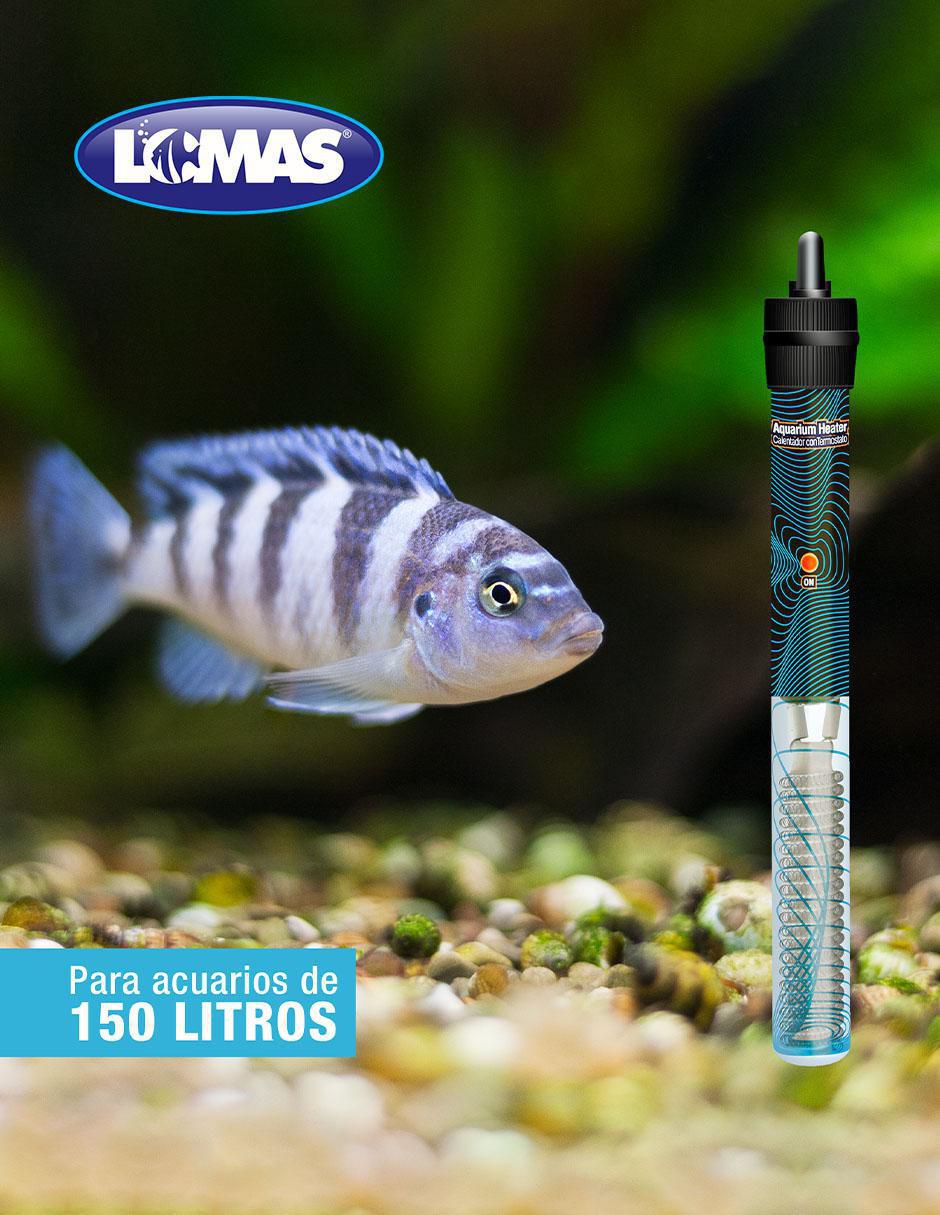 Calentador para pecera de 150 W 3