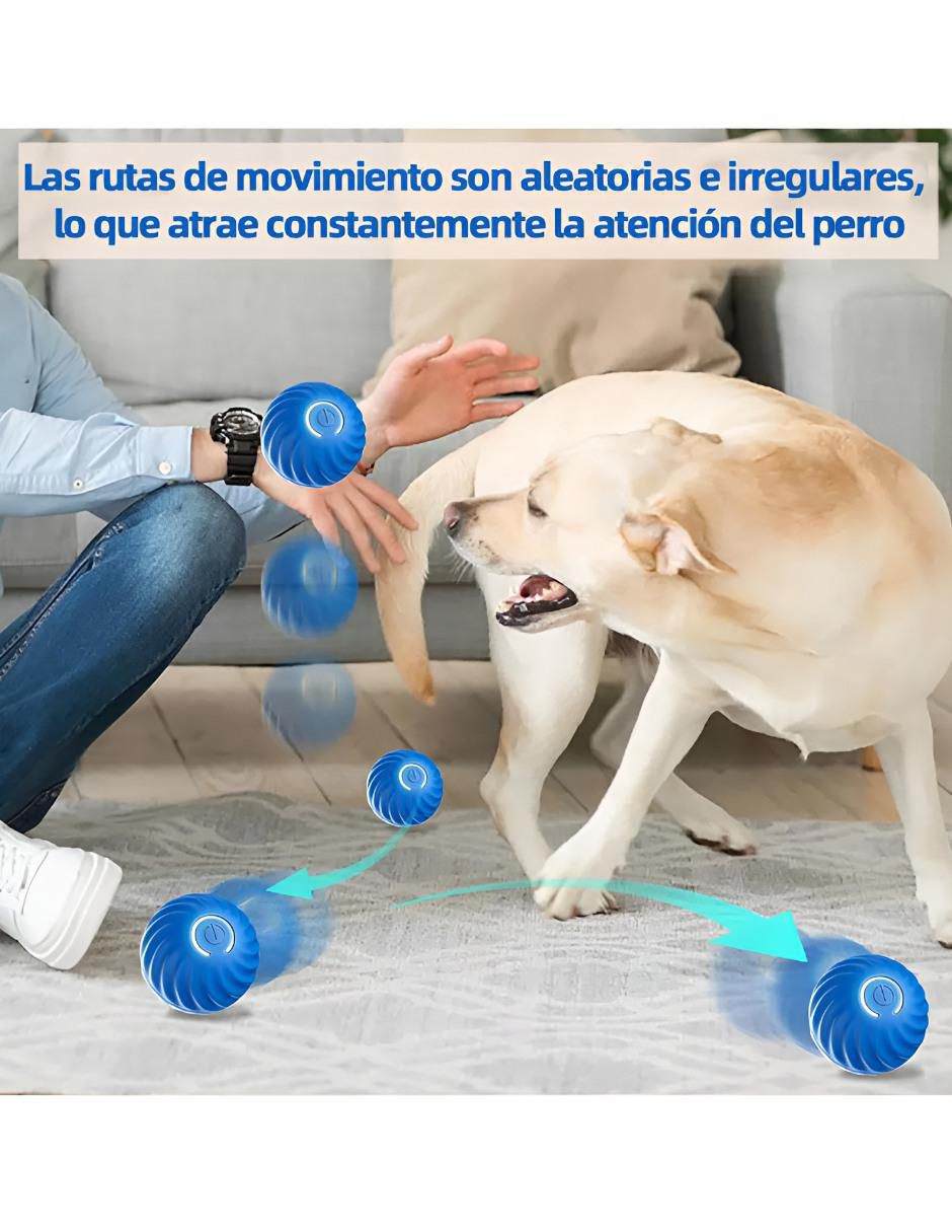 Pelota para perro 2