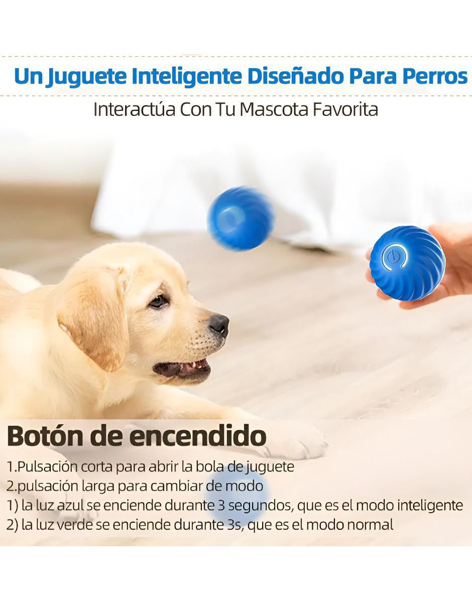 Pelota para perro 3
