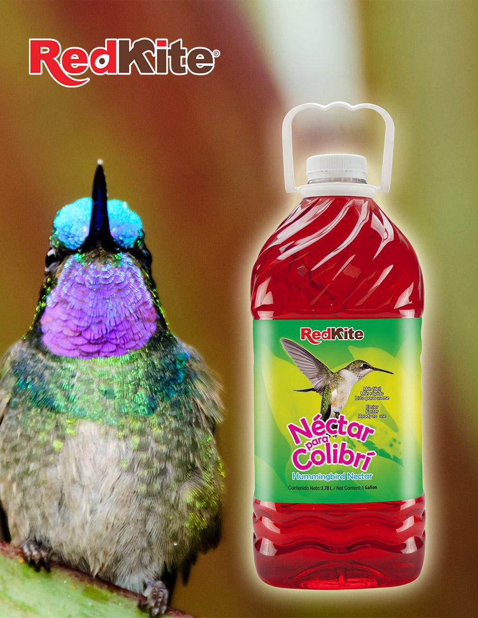 Néctar de néctar para colibri todas las etapas contenido 1 pieza 3.6 kg 2