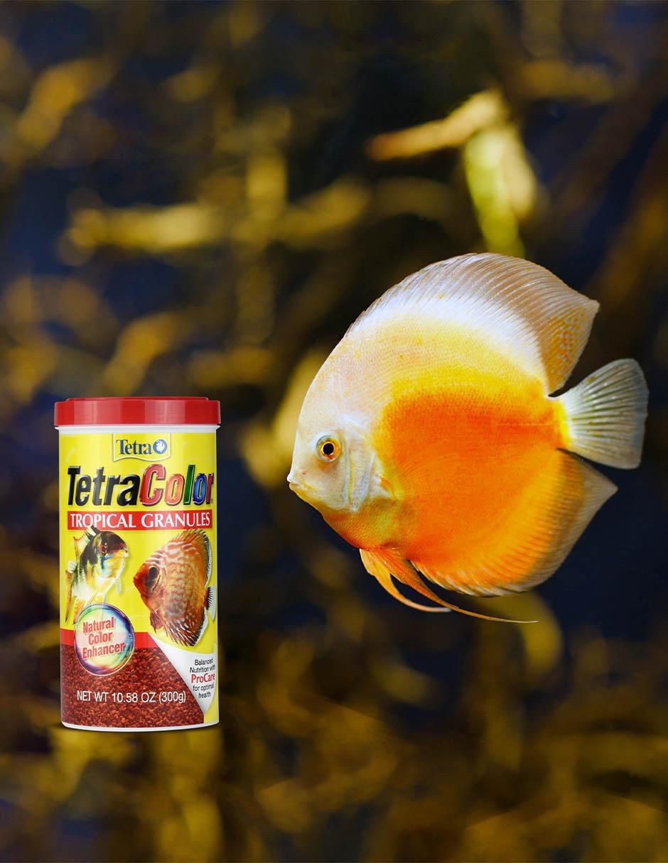 Hojuelas de verduras mixtas para peces contenido 300 g 3