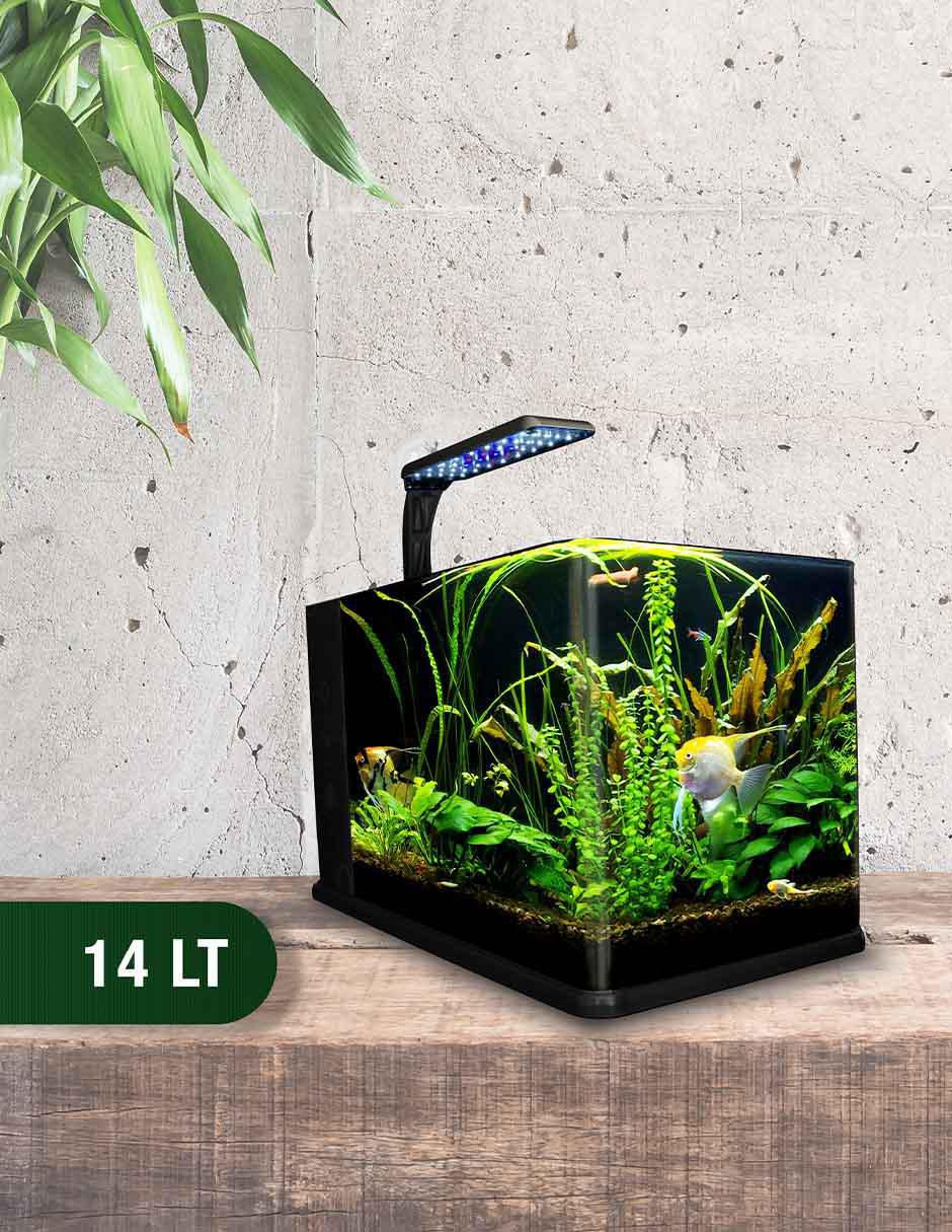 Pecera de vidrio 15 litros 3