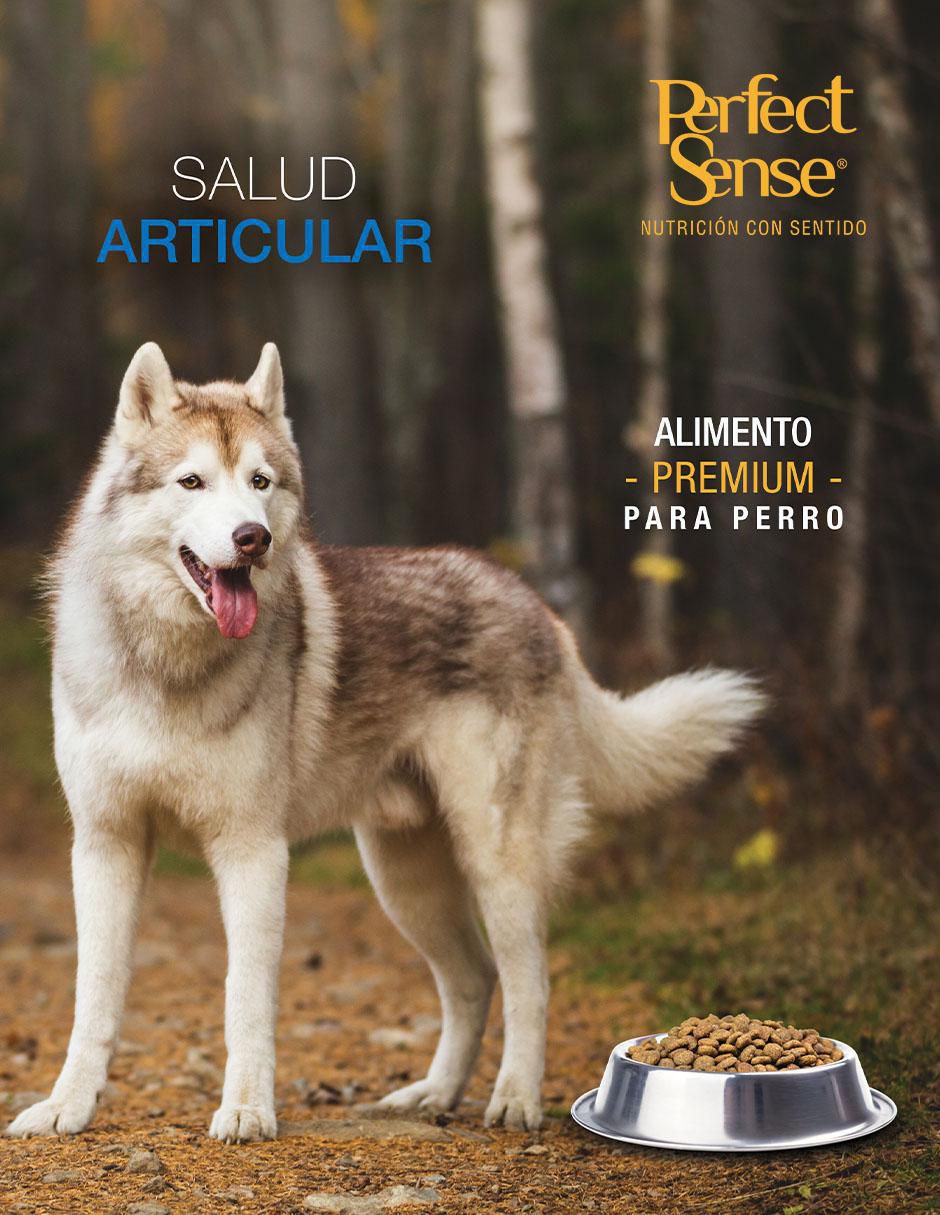 Croqueta de pollo para perro etapa adulto contenido 3 kg 4