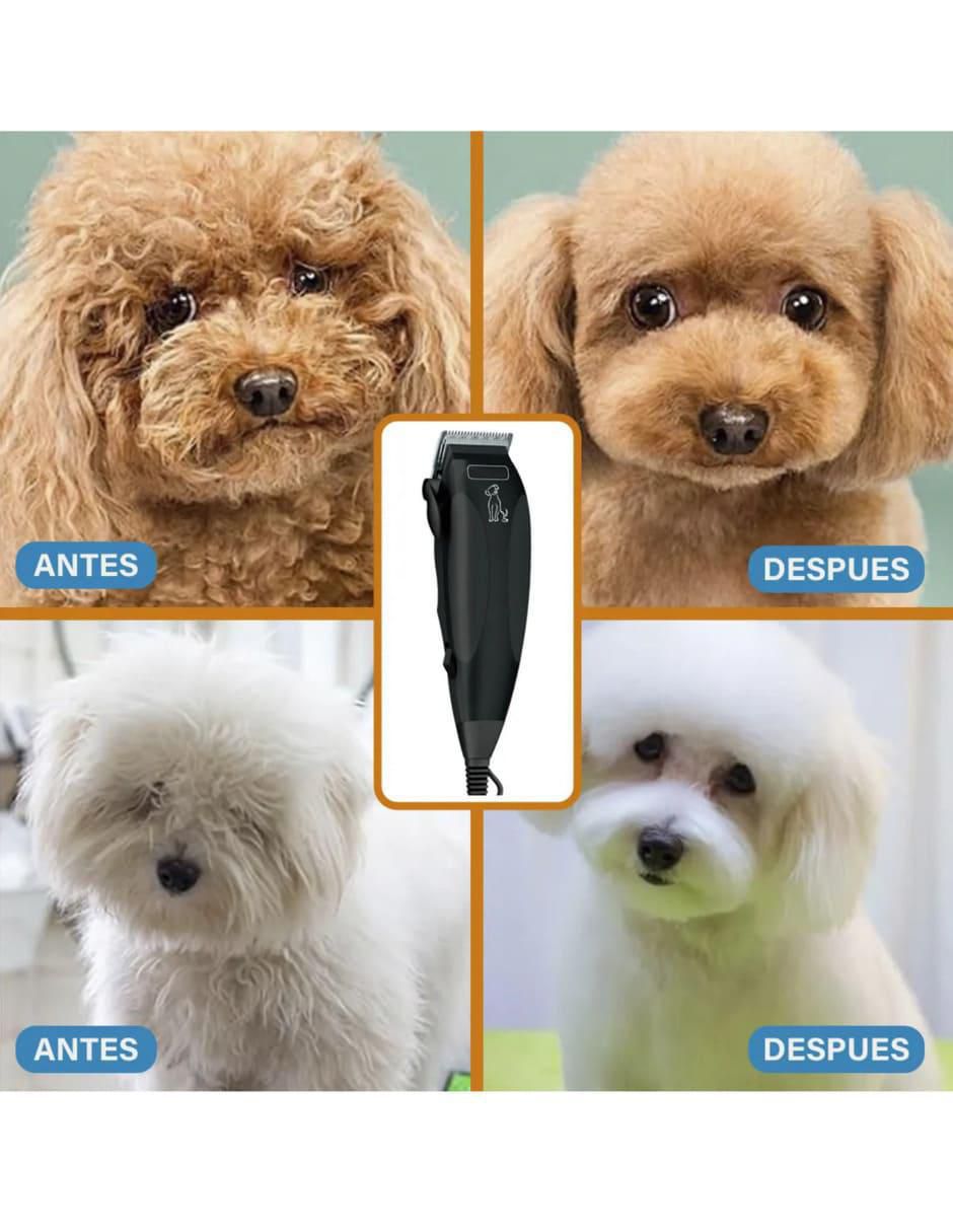 Rasuradora para perro 3