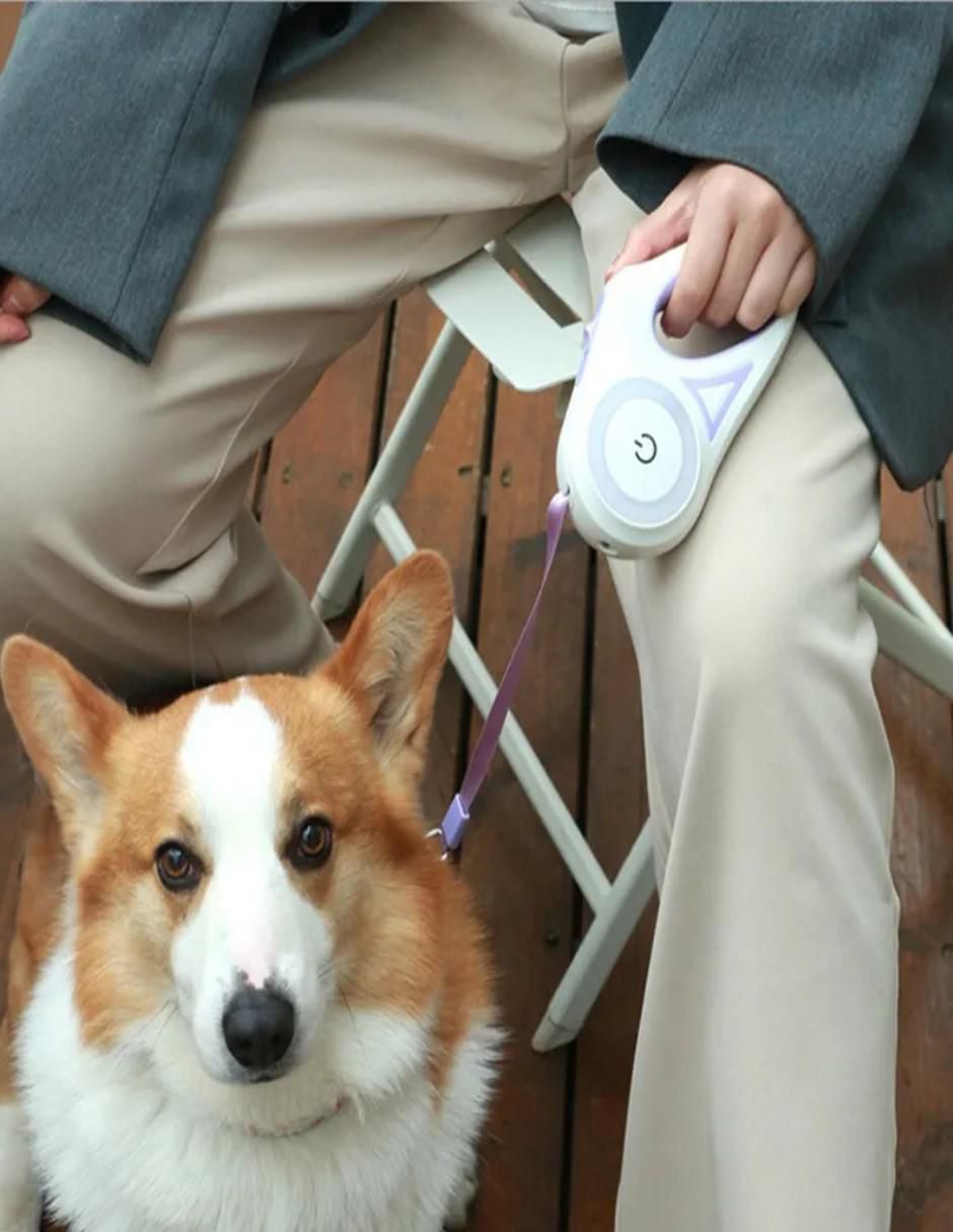Correa extensible para perro 3