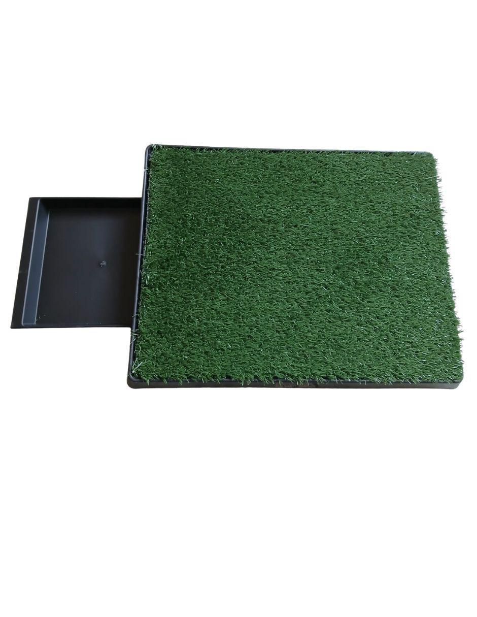 Pasto para gato 3