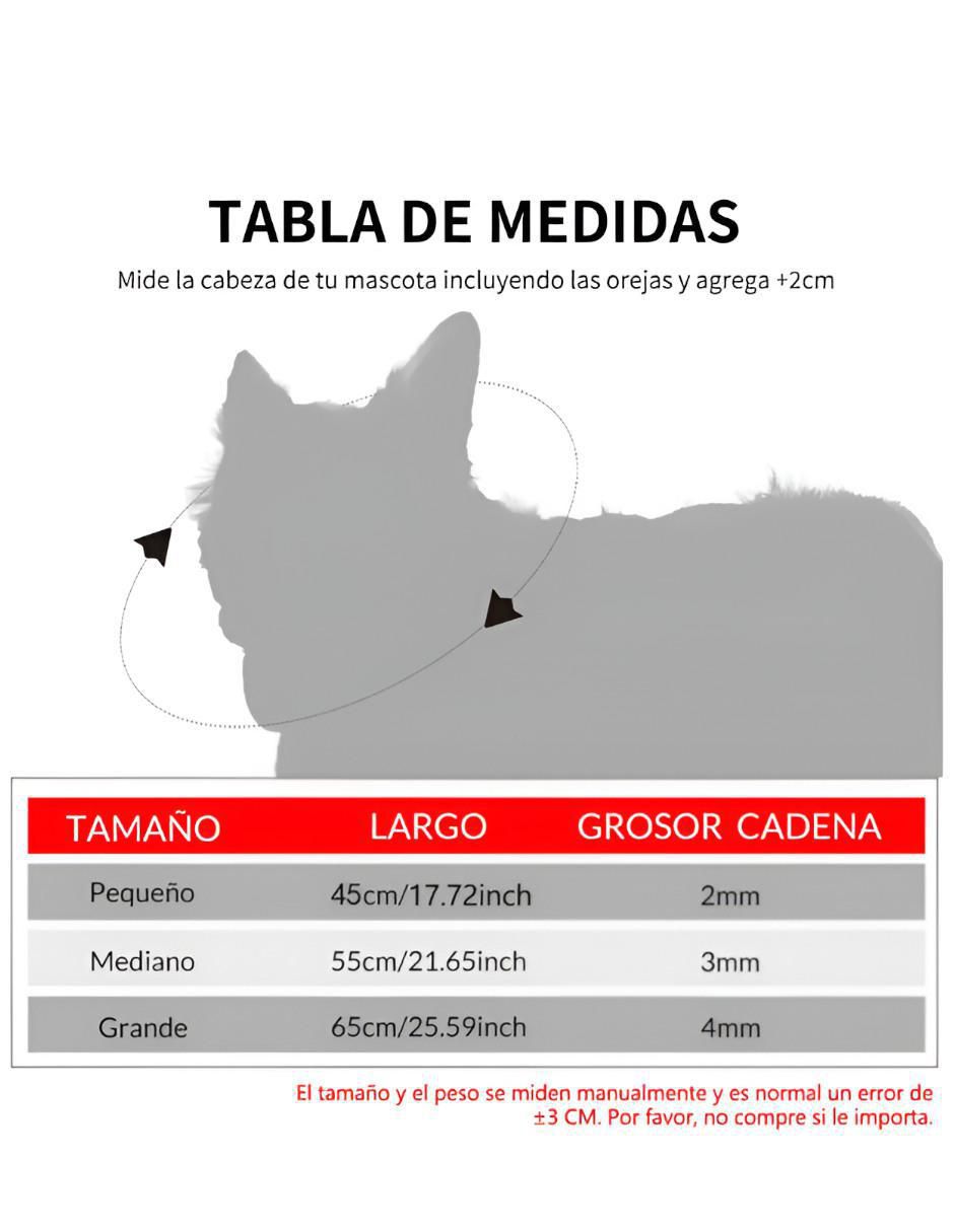 Collar para perro 4