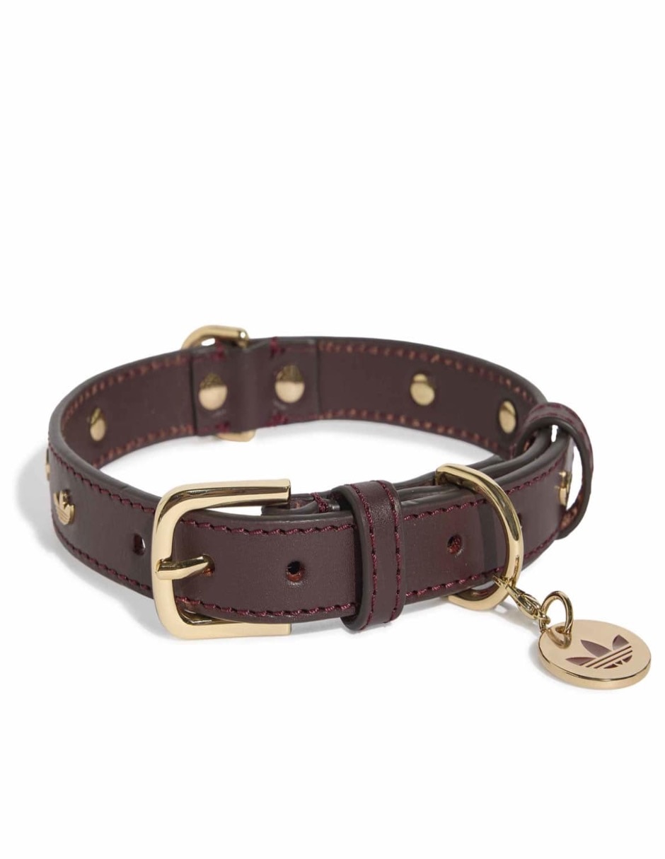Collar de cuero para perro y gato Collar de cuero para perro y gato