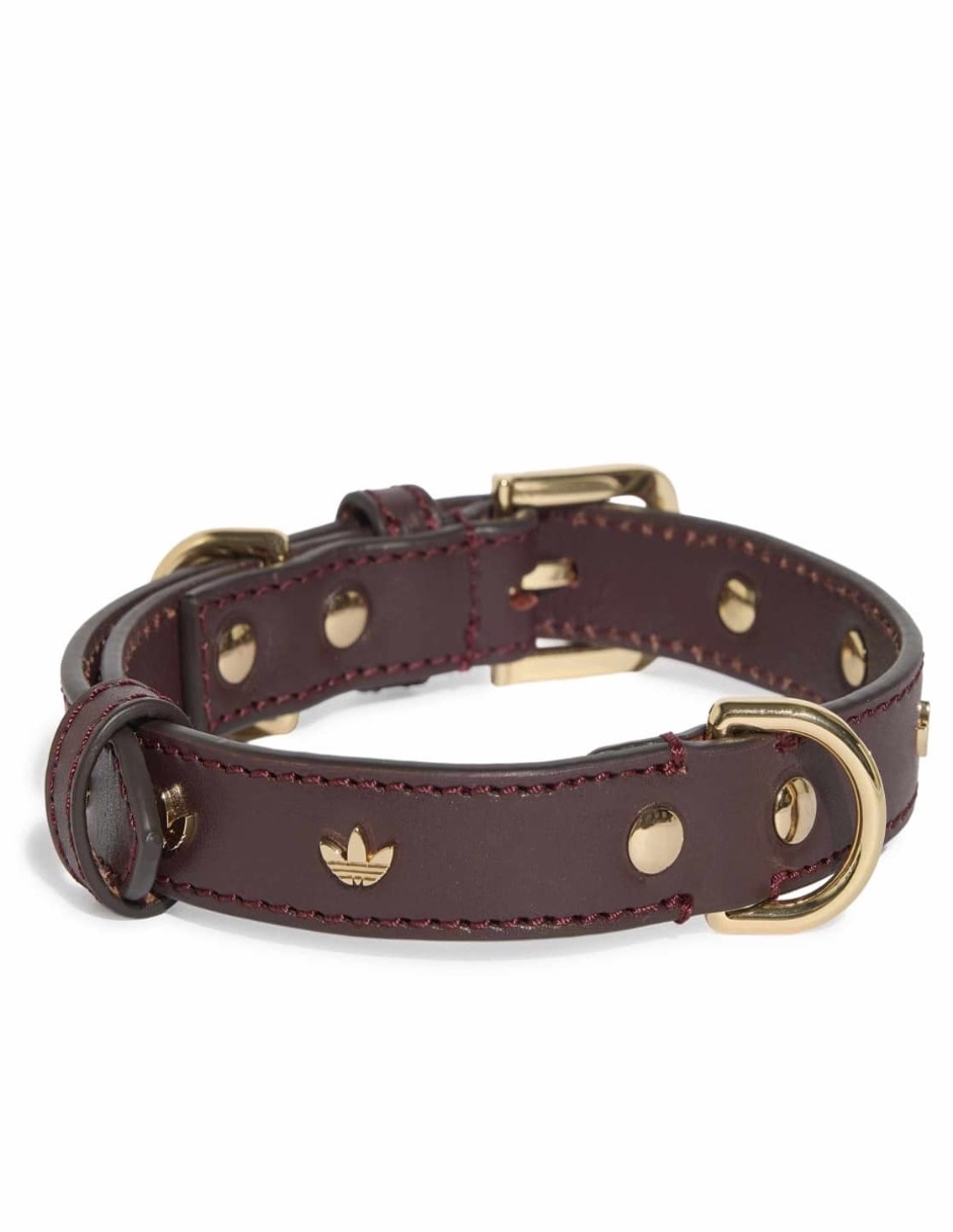 Collar de cuero para perro y gato 2