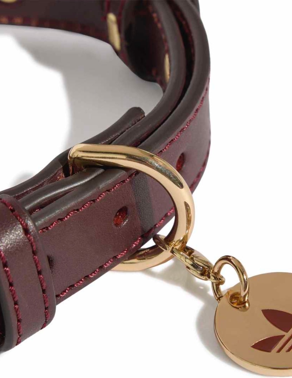 Collar de cuero para perro y gato 3