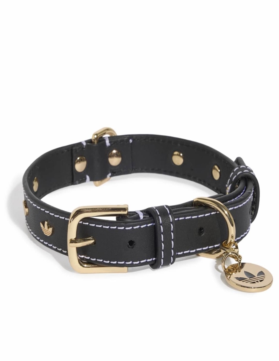 Collar de cuero para perro y gato Collar de cuero para perro y gato