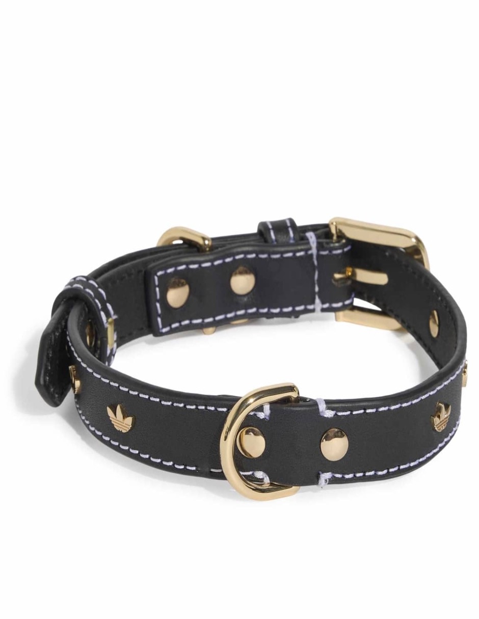 Collar de cuero para perro y gato 2