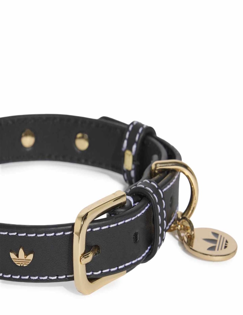 Collar de cuero para perro y gato 3