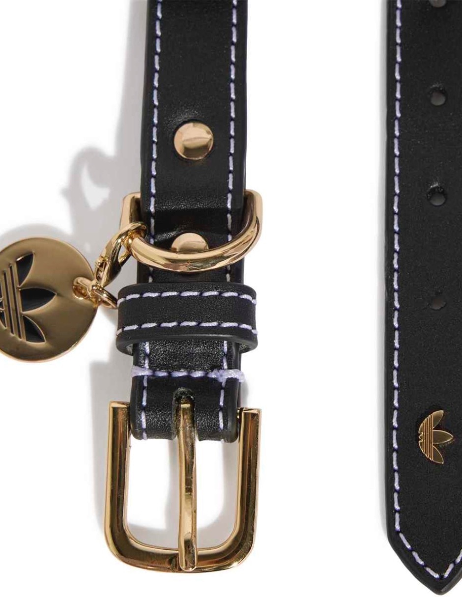 Collar de cuero para perro y gato 4