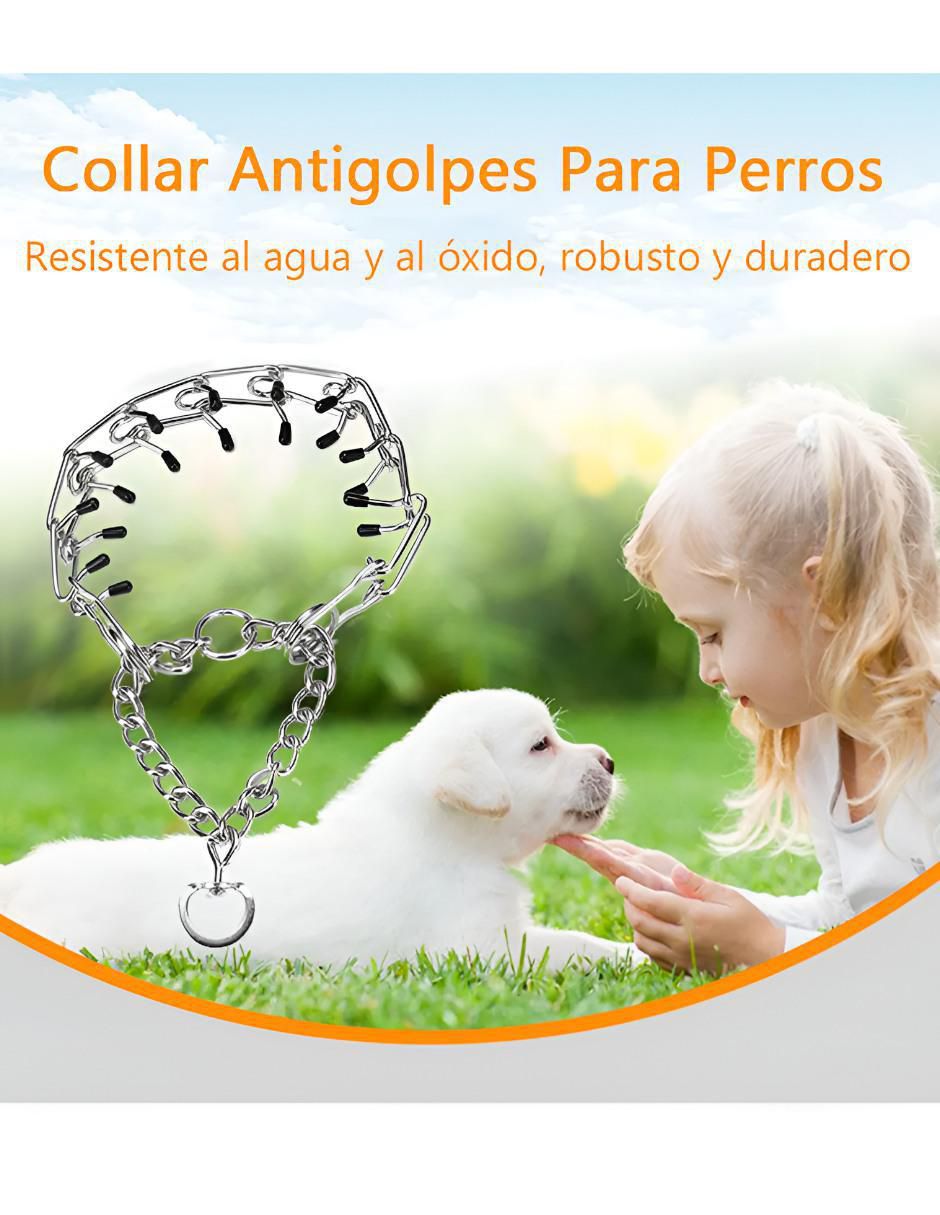Collar para perro 2