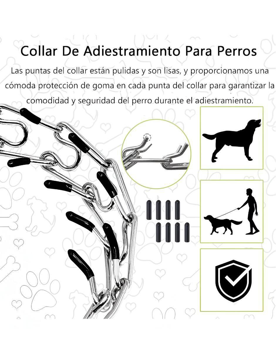 Collar para perro 3
