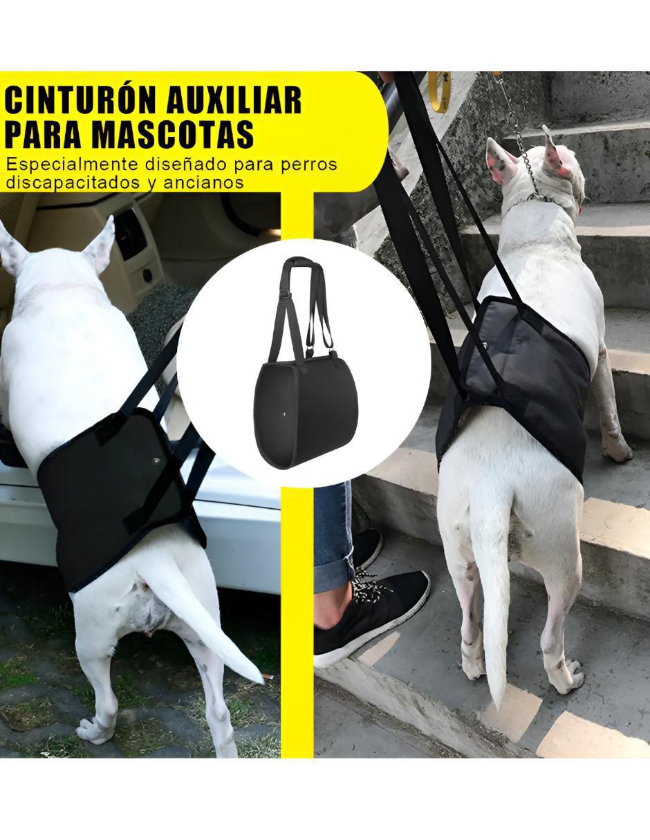 Mochila para mascota 2