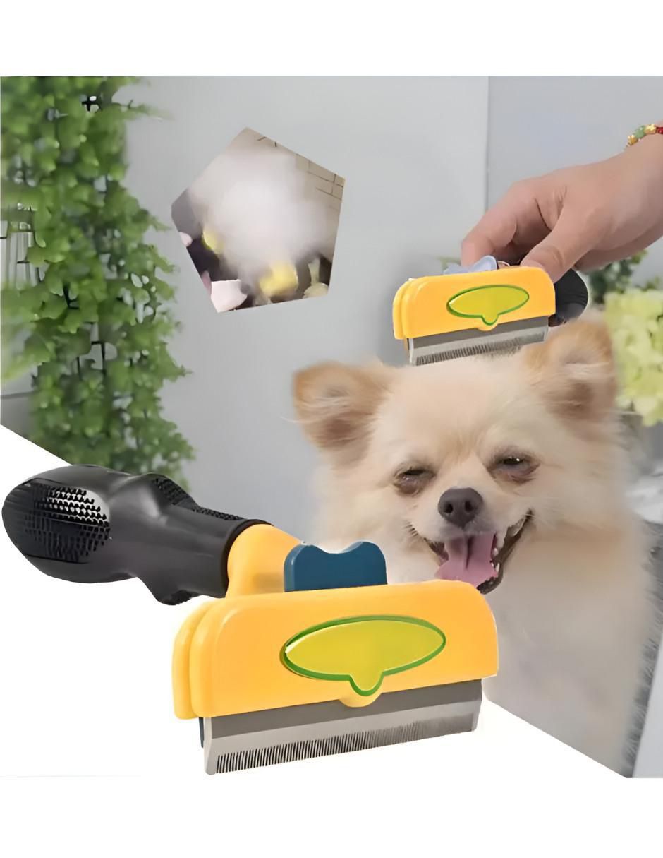 Carda para perro y gato 2