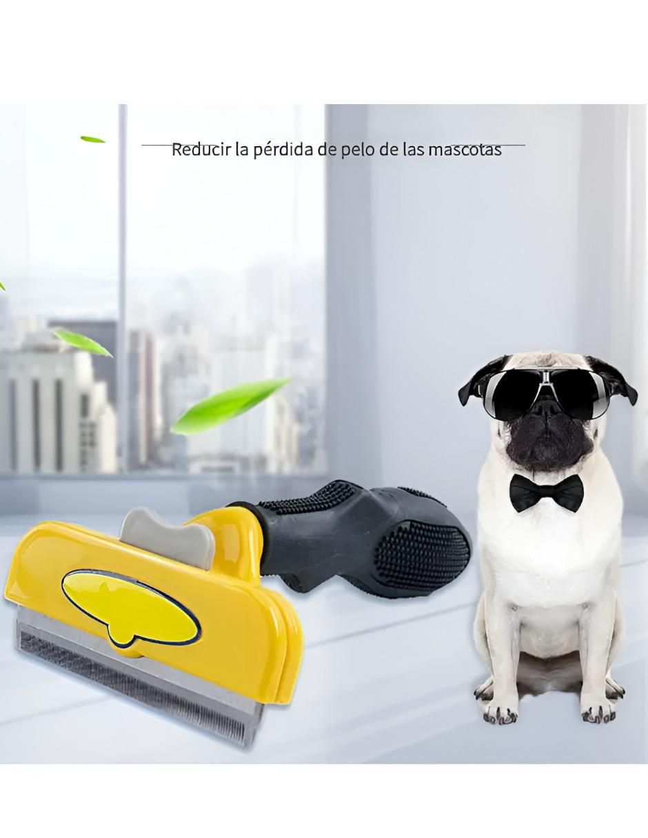 Carda para perro y gato 3