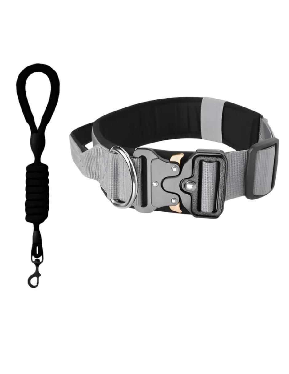 Correa y collar para perro