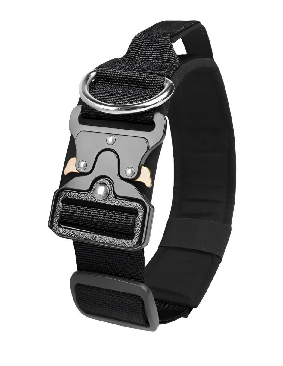 Collar para perro 4