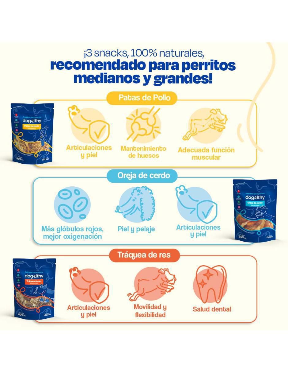 Premio de diferentes sabores premio para perro 2