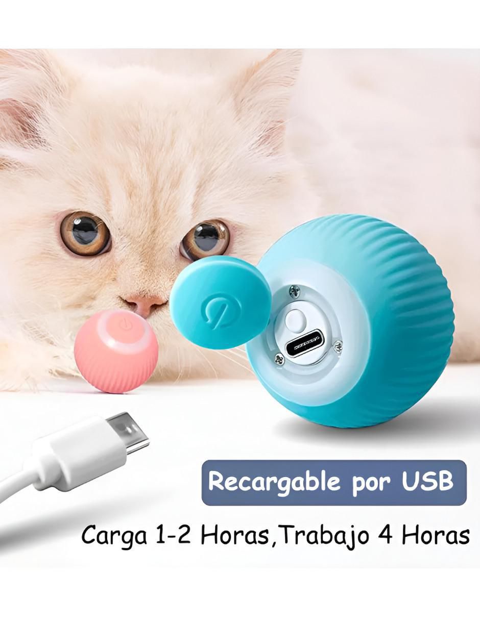 Juguete mecánico para mascota 4