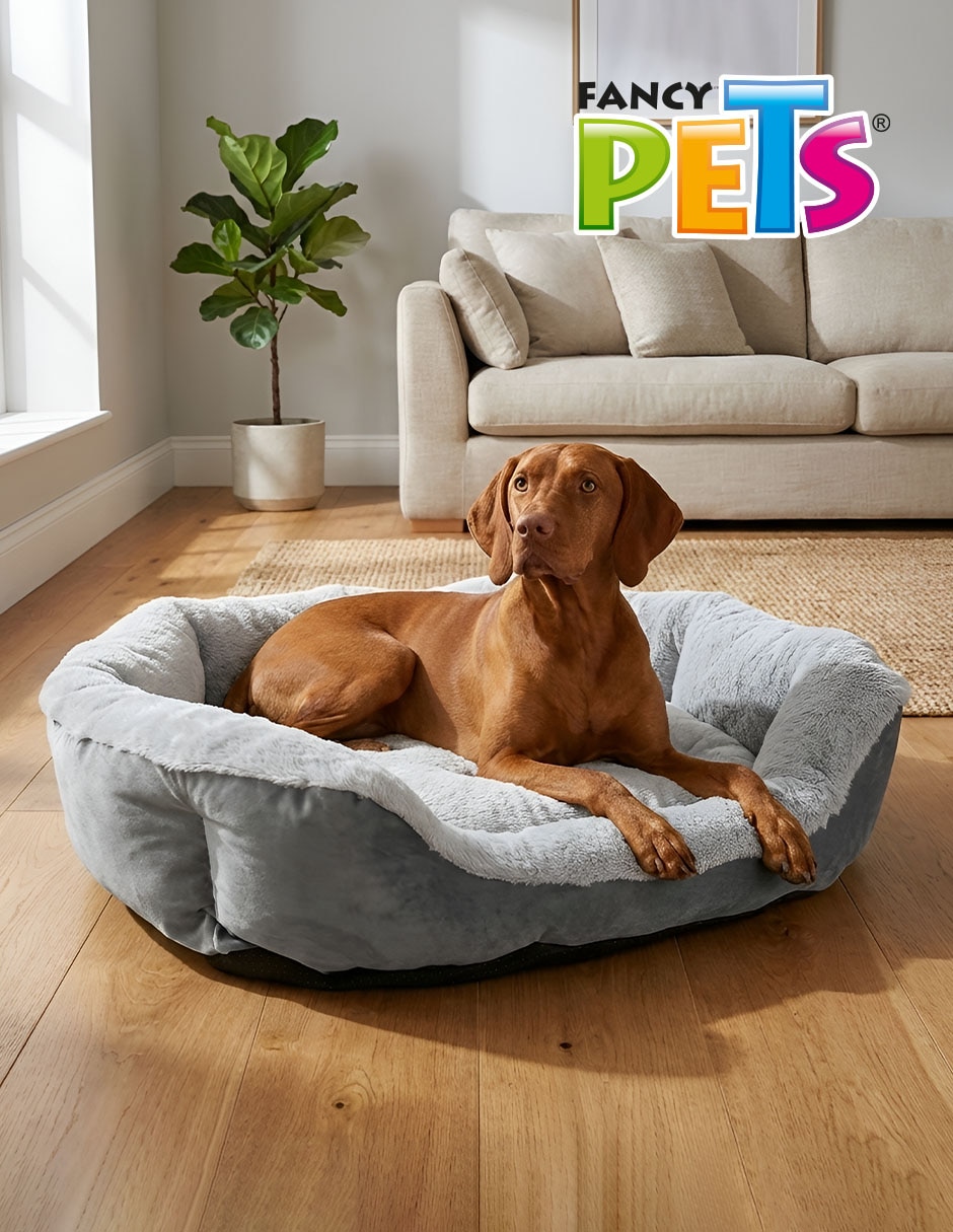 Cama para perro 2