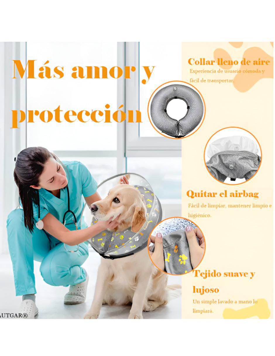 Collar Isabelino para perro 3
