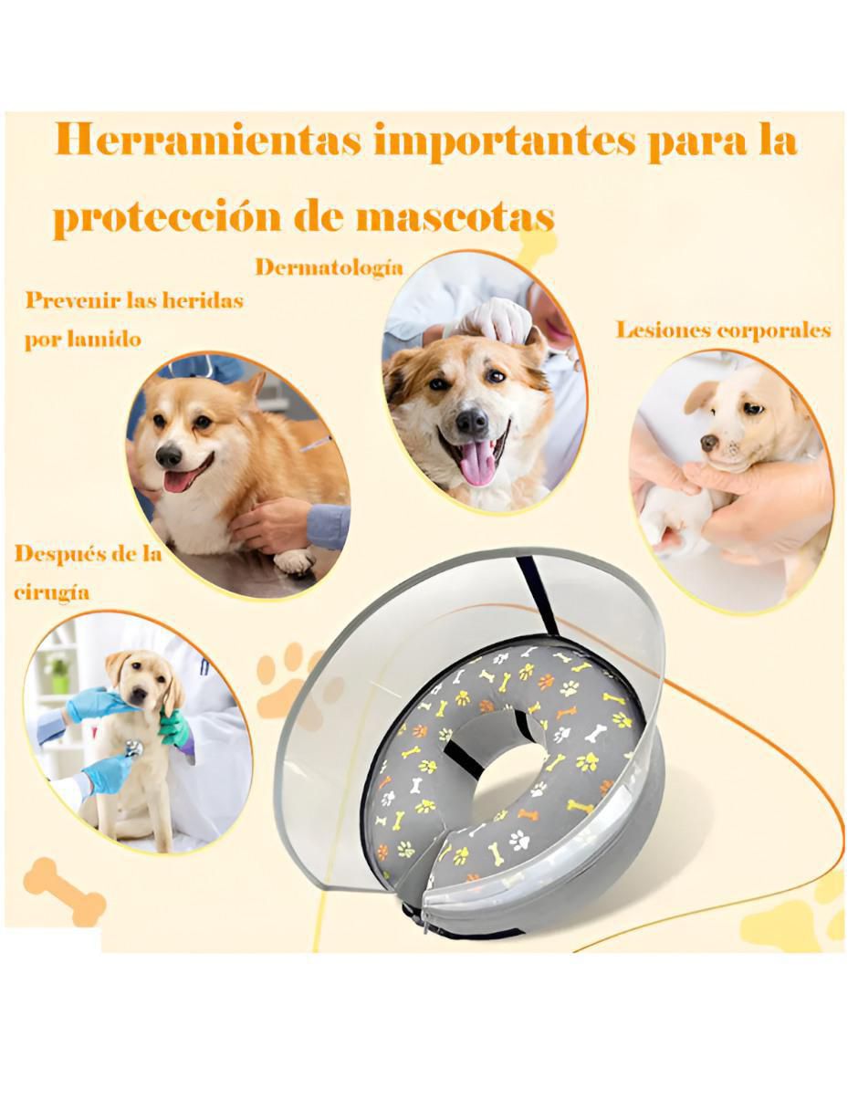 Collar Isabelino para perro 4