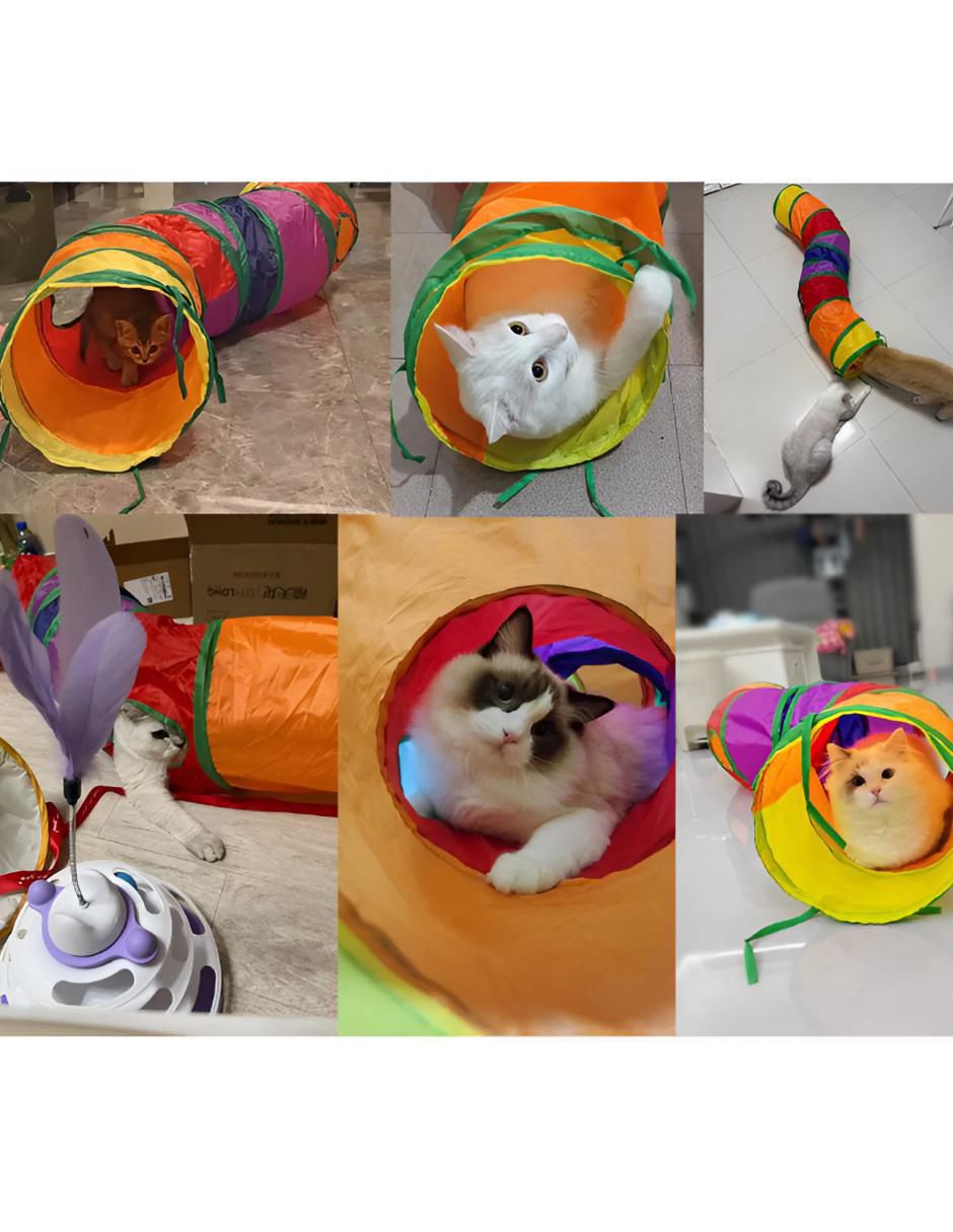 Juguete interactivo para gato 2