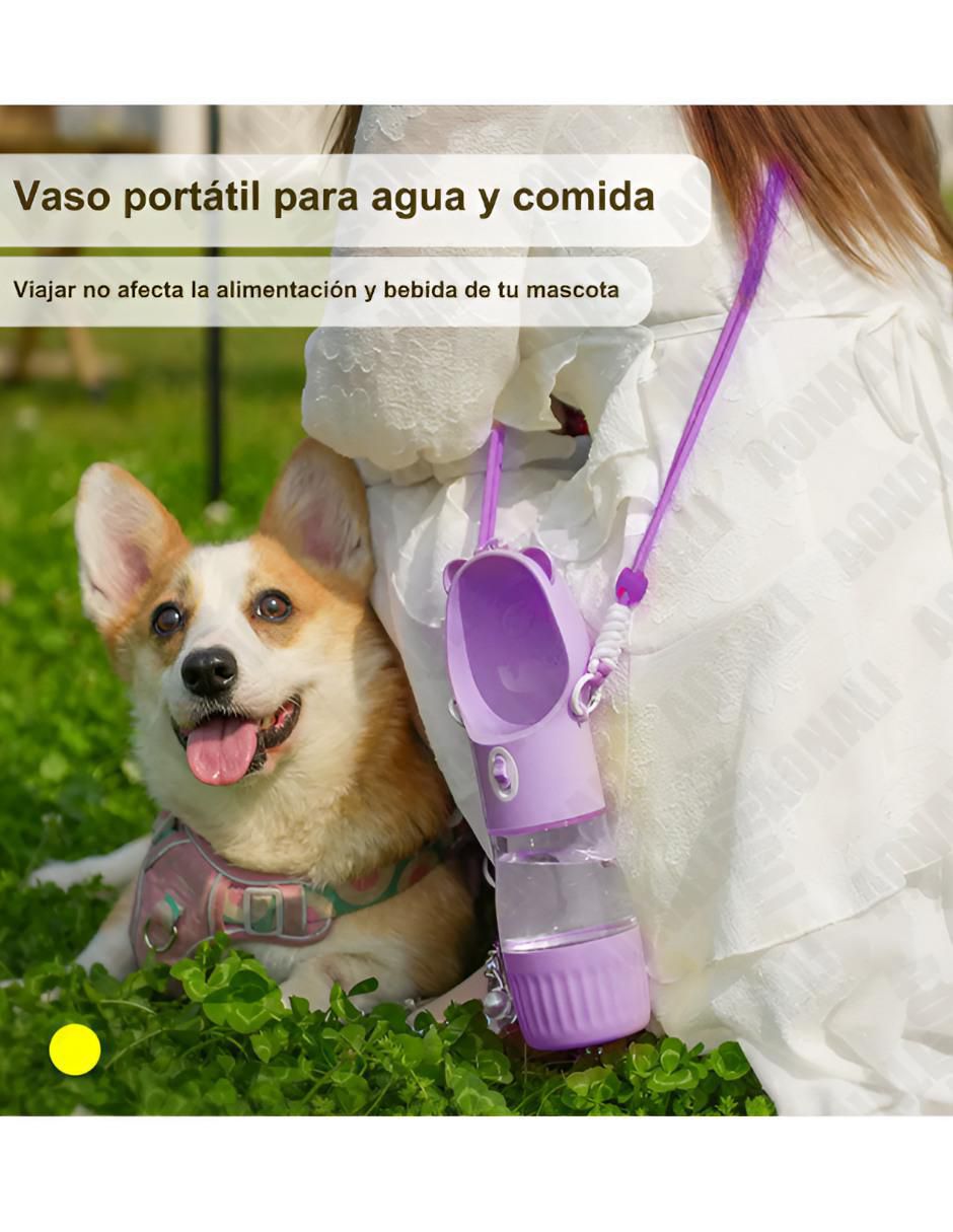 Bebedero transparente para perro y gato 450 ml 2