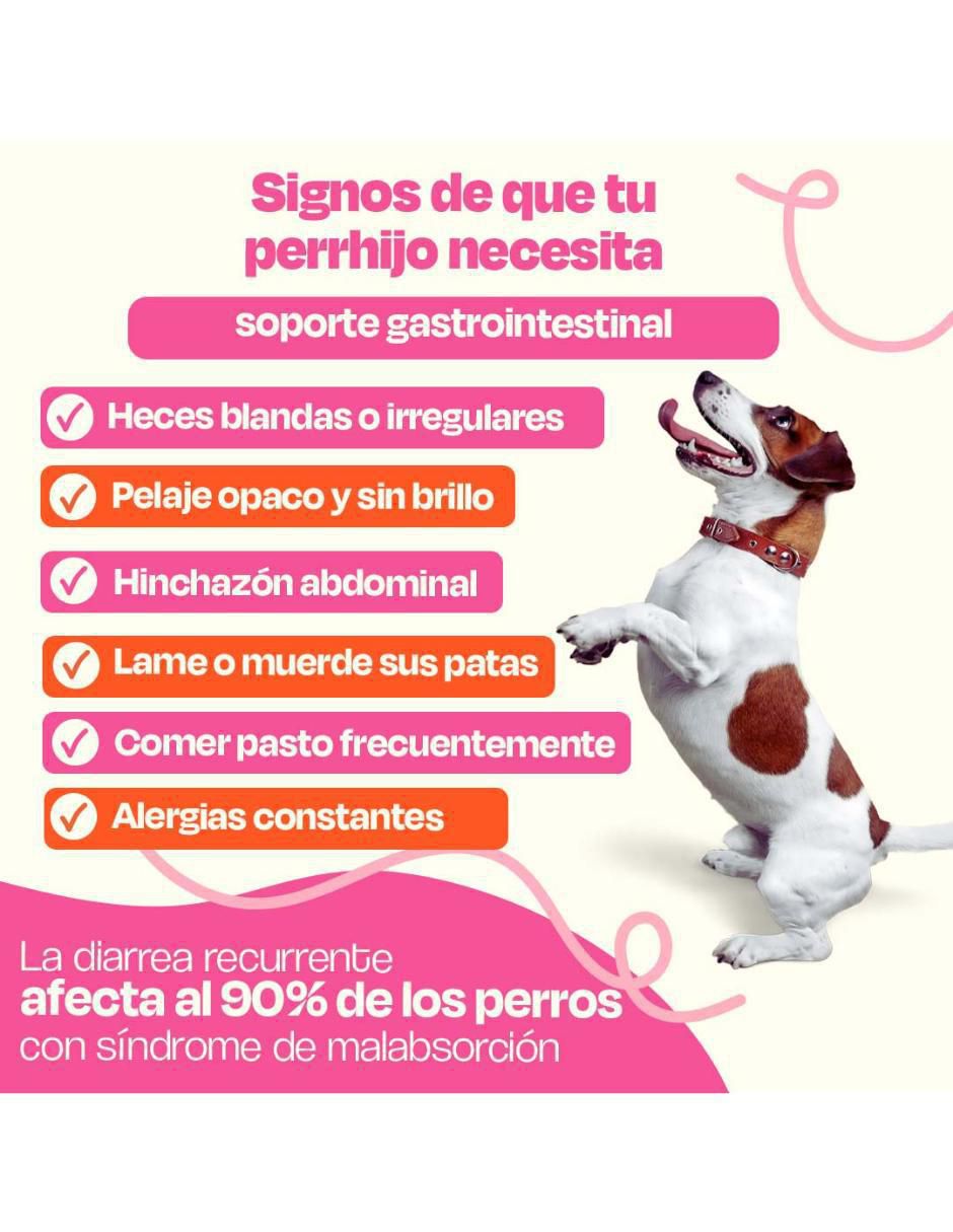 Kit de bienestar para mascota 6