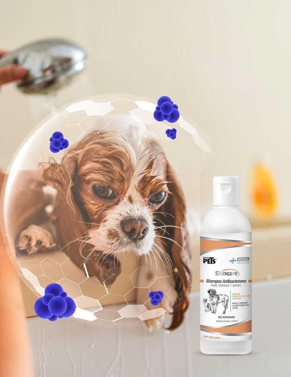 Shampoo para mascota 3