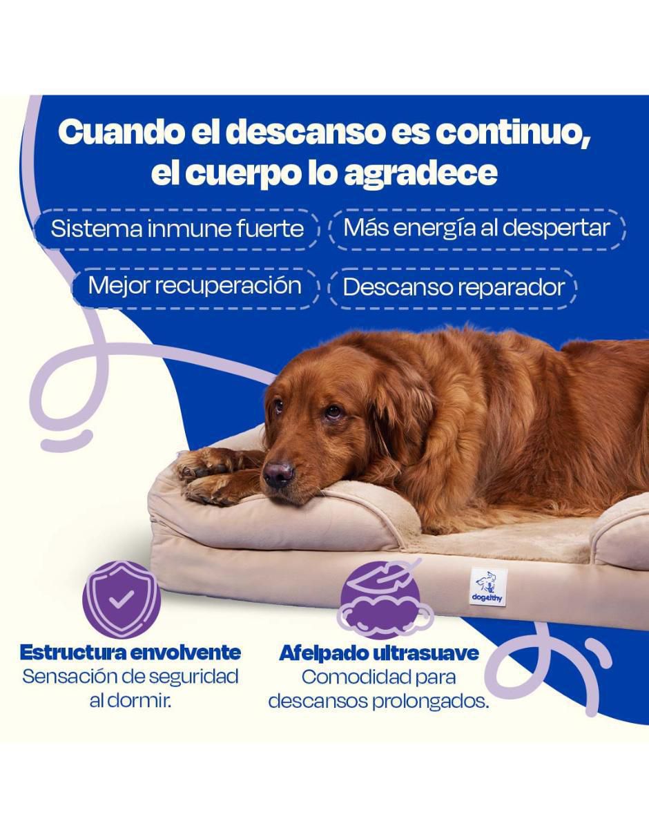 Cama para perro 5