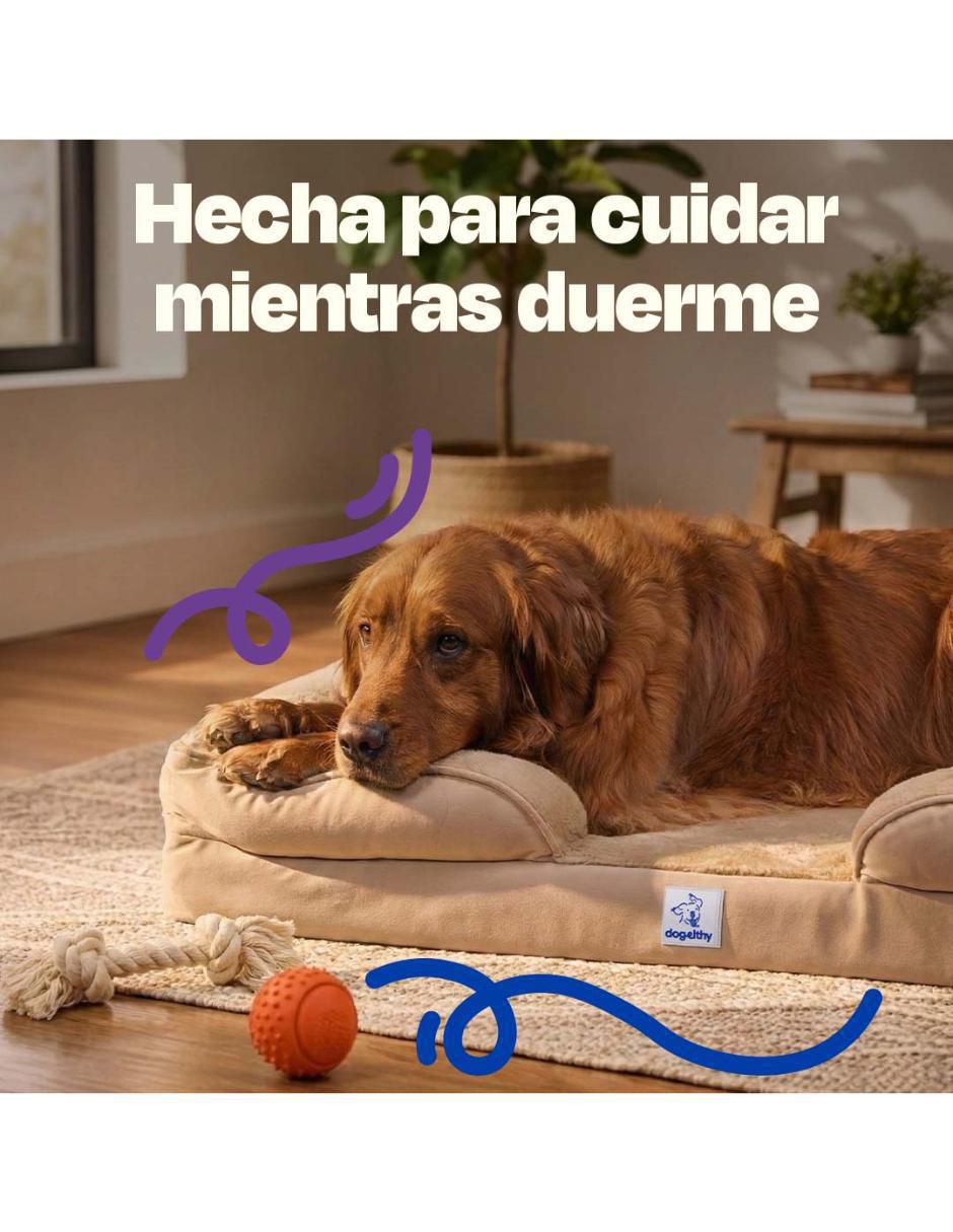 Cama para perro 9