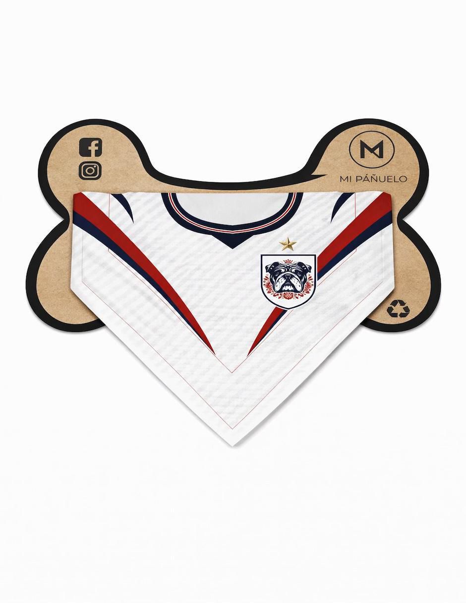 Pañuelo para mascota Mundial 4