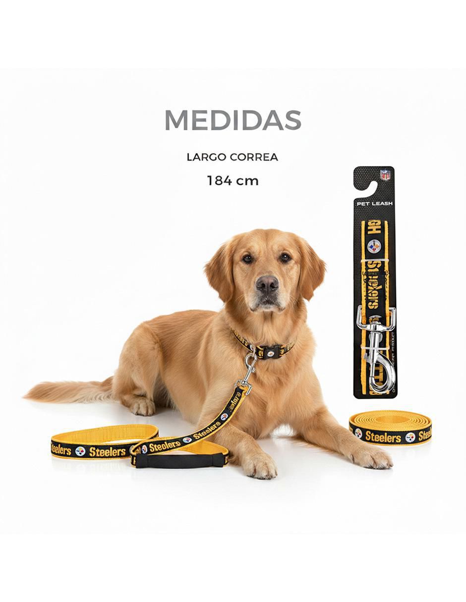 Correa para perro 6