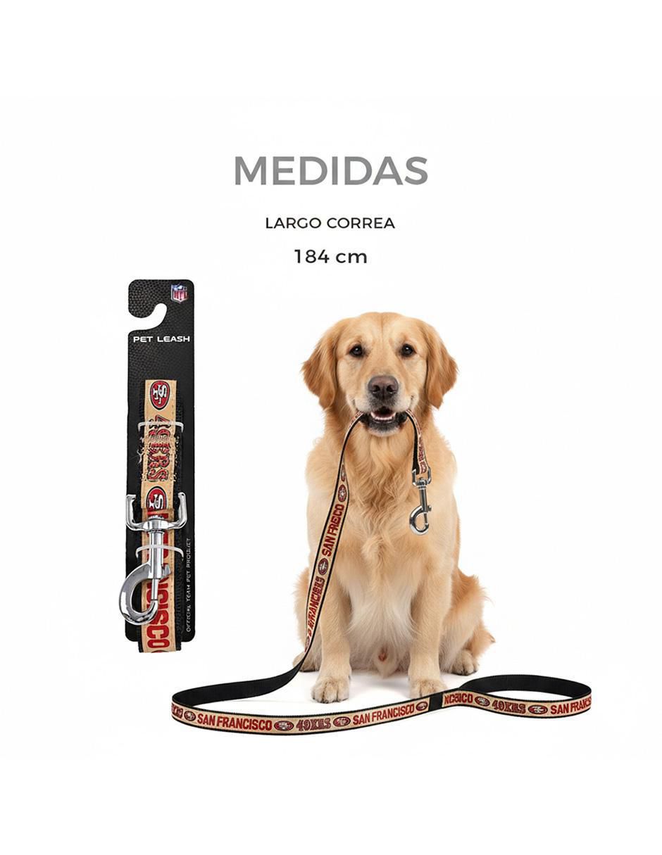 Correa para perro 6