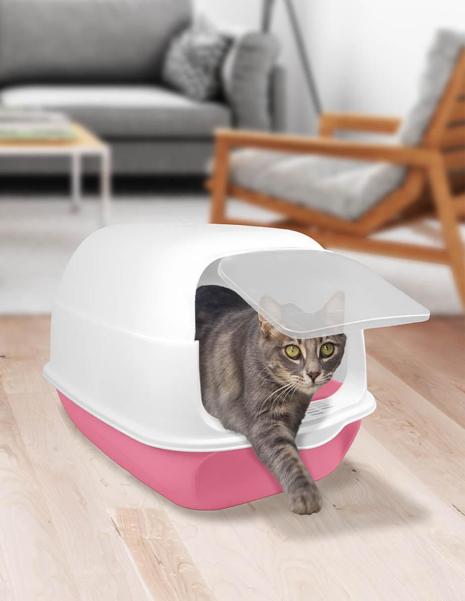 Arenero para gato 2