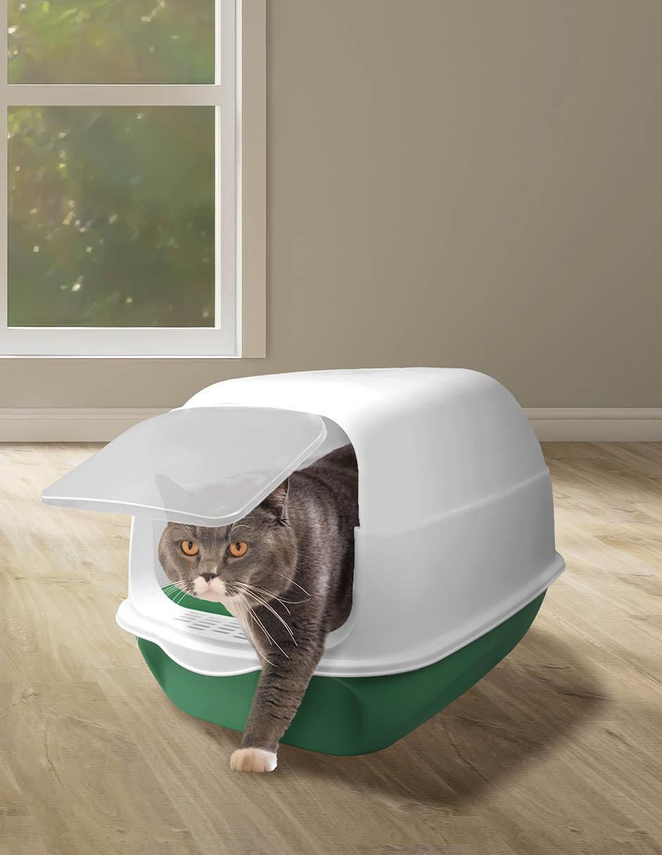 Arenero para gato 2