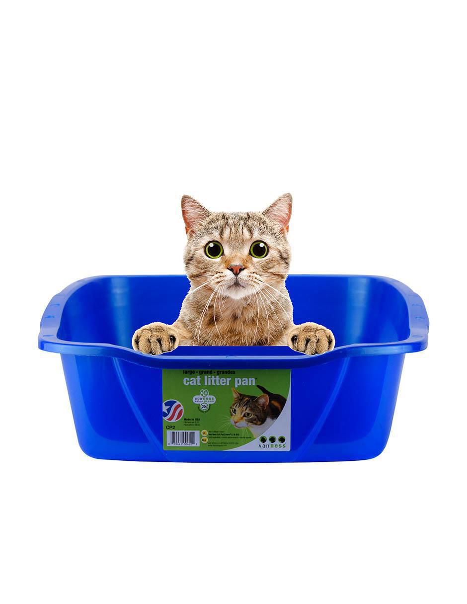 Arenero para gato 3