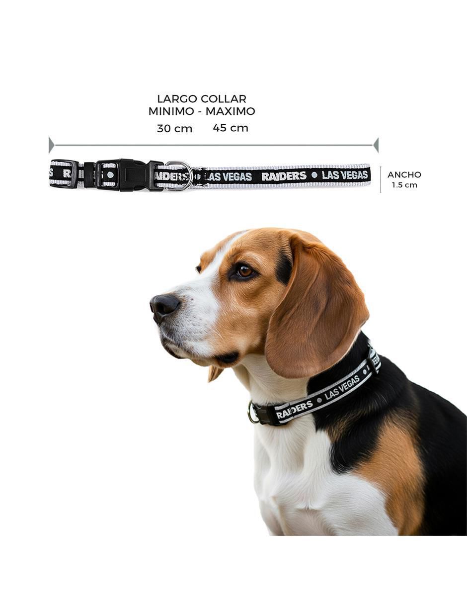 Collar para perro 6