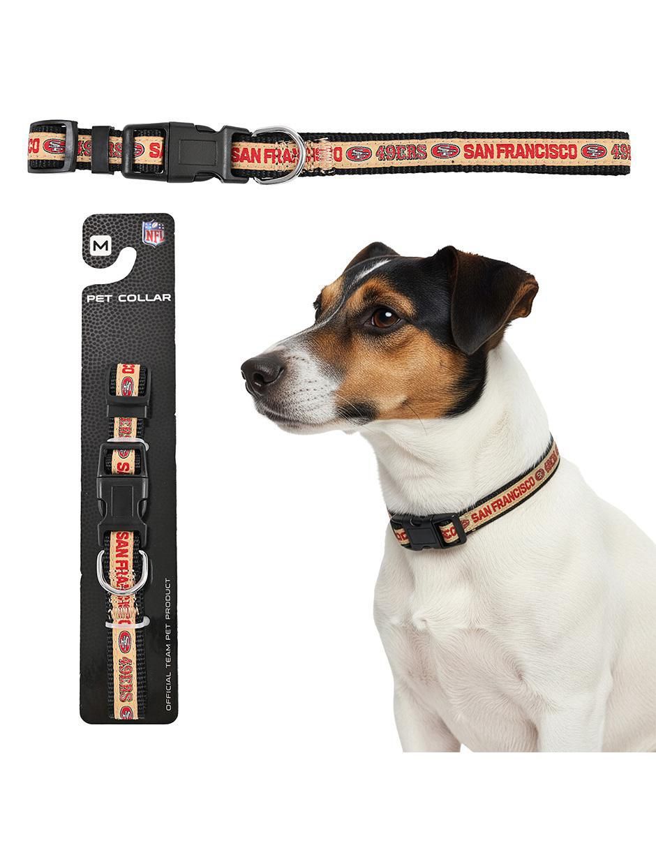 Collar para perro Collar para perro
