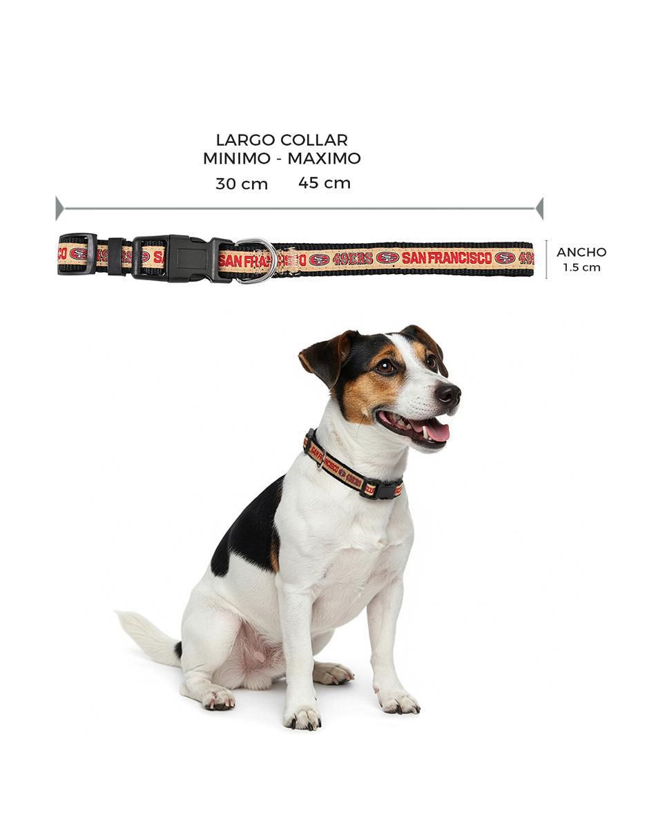 Collar para perro 6