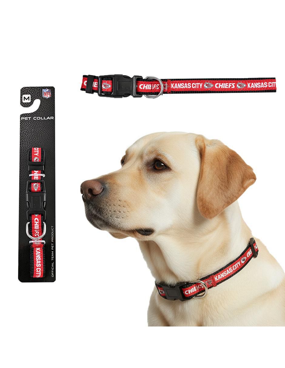 Collar para perro Collar para perro