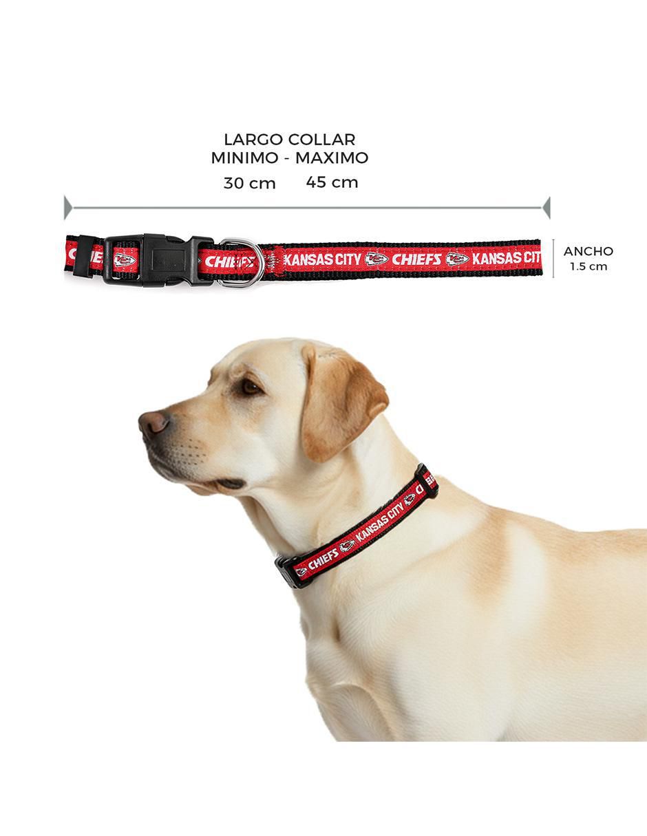 Collar para perro 6