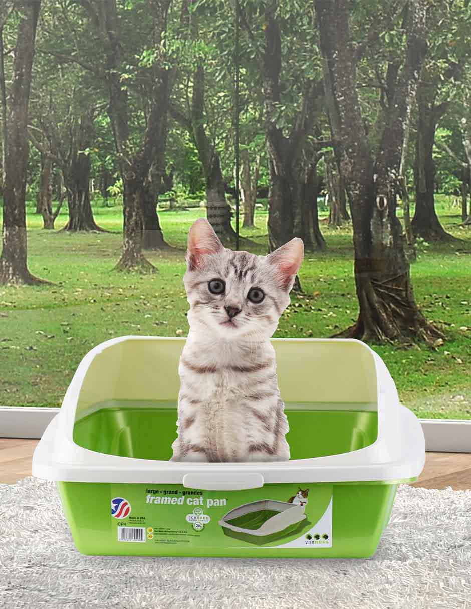 Arenero para gato 3
