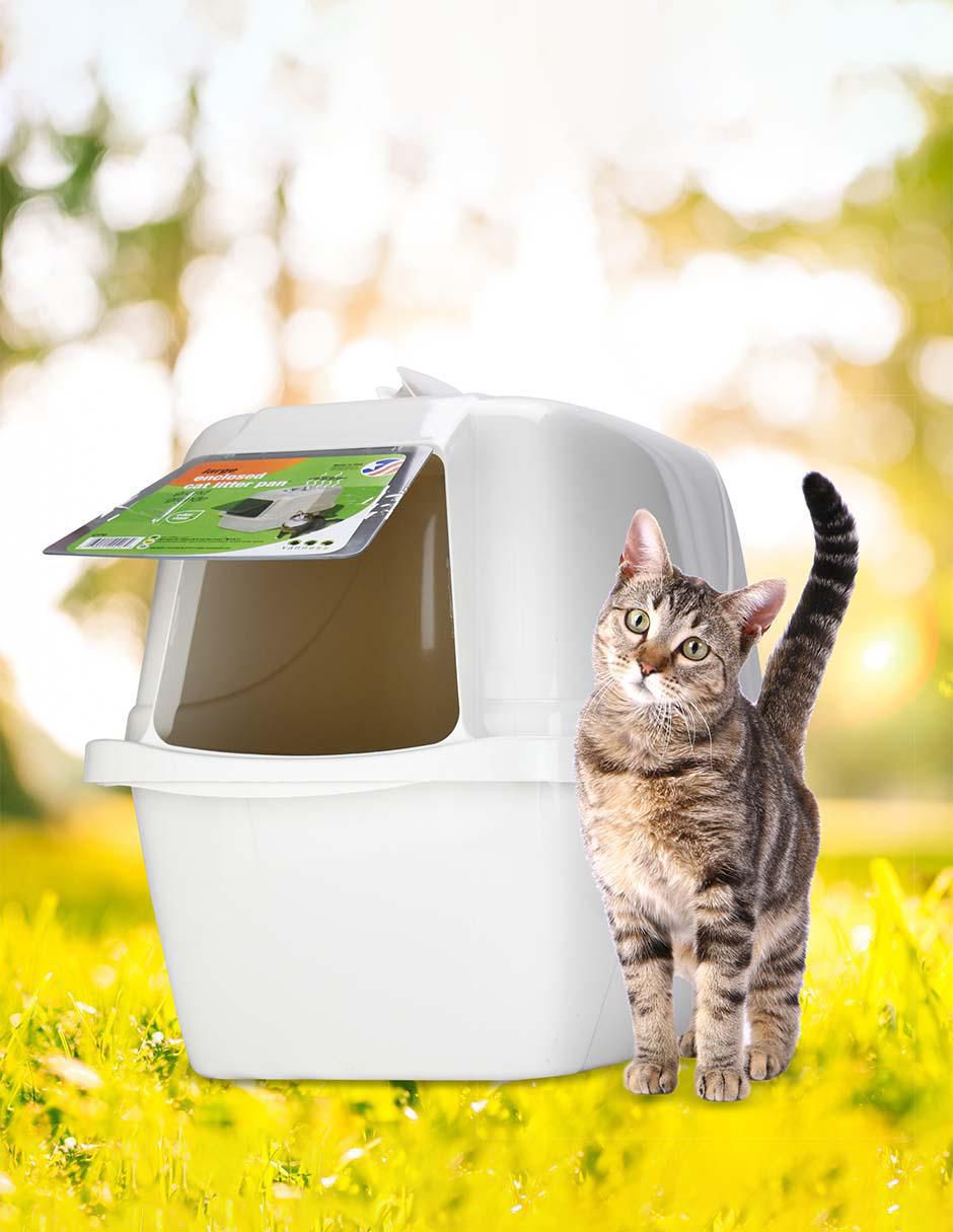 Arenero para gato 3