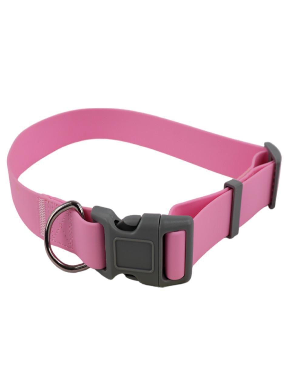 Correa y collar para perro 3